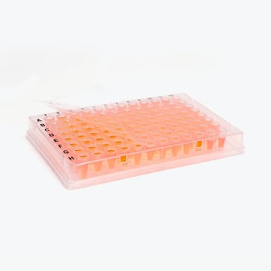 ThermalSeal RT2RR, Optically Clear for Raised Rim Plates