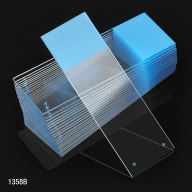 Microscope Slides, Diamond White Glass, 25 x 75mm, Charged, 90 Ground Edges, Blue Frosted, 72/Box