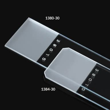 Microscope Slides, Diamond White Glass, 25 x 75mm, 90 Ground Edges, Frosted: 1 End, 2 Sides, 72/Box, 20 Boxes/Case (10 Gross)