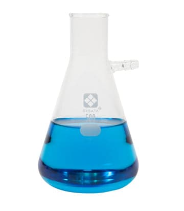 SIBATA Glass Filtering Flask, 500 mL, EA/1