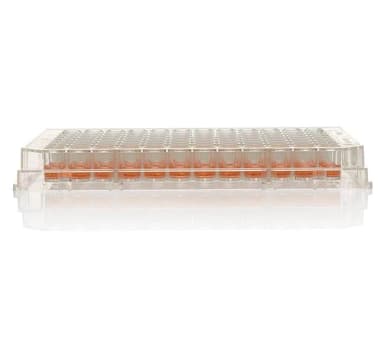 96 Well Plt PS Non-Treated NS w/o Lid Clr F96 400 ul Well