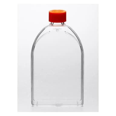 Corning CellBIND 150cm Canted Neck Cell Culture Flask with Vent Cap