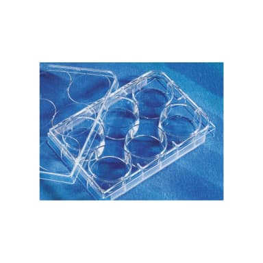 Corning CellBIND 6 Well Clear Multiple Well Plates, Flat Bottom, with Lid, Sterile
