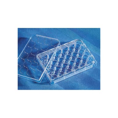 Corning CellBIND 24 Well Clear Multiple Well Plates, Flat Bottom, with Lid, Sterile
