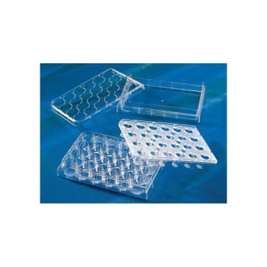 Costar HTS Transwell-24 Permeable Support with 0.4µm Pore Polyester (PET) Membrane, Sterile, 12/Pack, 12/Case