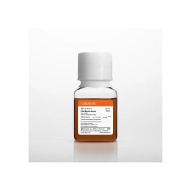 Fetal Bovine Serum, Premium, USA, Ultra Low-IgG 100mL