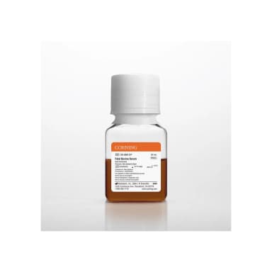Fetal Bovine Serum, Premium, NZ, ROW HI 50mL