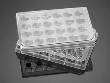 Corning FluoroBlok 24 Multiwell Insert System with 8.0µm Pore Polyester (PET) Membrane, Sterile, 5/Pack, 5/Case