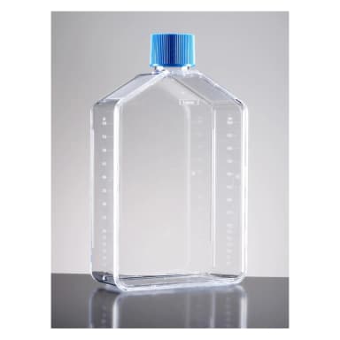 Falcon 175cm² Rectangular Straight Neck Cell Culture Flask with Plug Seal Cap