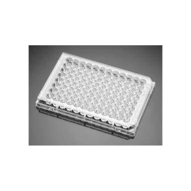 Falcon 96 Well Cell Culture Plate,-CLear, Flat Bottom, Tissue Culture Treated, Sterile
