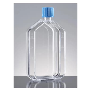 Falcon 75cm² Rectangular Straight Neck Cell Culture Flask with Vented Cap