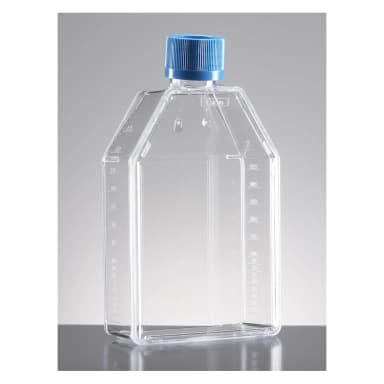Falcon 75cm² Rectangular Canted Neck Cell Culture Flask with plug-seal cap