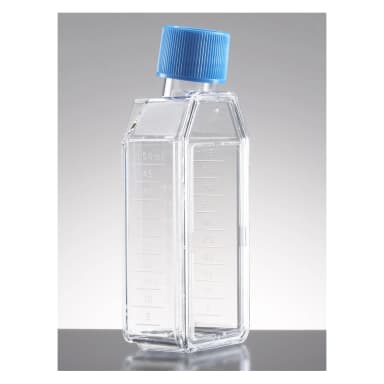 Corning® Primaria 25cm² Rectangular Canted Neck Cell Culture Flask with Vented Cap