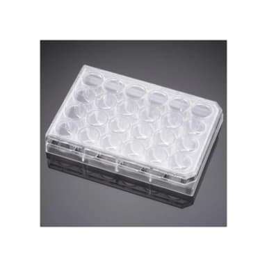 Corning® Primaria 24 Well Flat Bottom Surface Modified Multiwell Cell Culture Plate, with Lid, Ind. Wrapped, S, 50/Cs