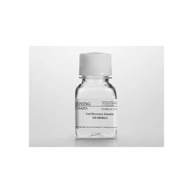 Cell Recovery Solution 500 mL