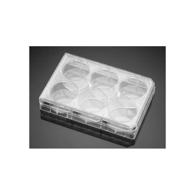 Corning BioCoat Poly-L-Lysine 6 Well Clear Flat Bottom TC-Treated Multiwell Plate, with Lid, 5/Case