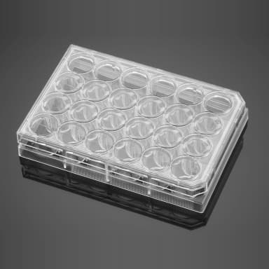 Corning BioCoat Matrigel Matrix Thin Layer 24 Well Clear Flat Bottom TC-Treated Multiwell Plate, with Lid, 5/Case