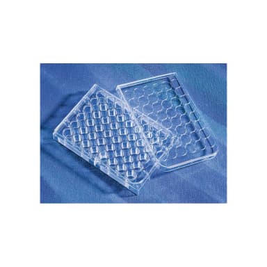 Costar 48 Well Clear, Tissue Culture-Treated Multiple Well Plates with Lid, Sterile, Individually Wrapped, 100/Case