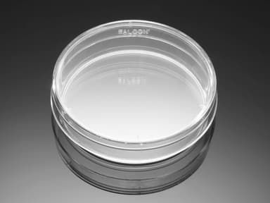 Corning BioCoat Poly-D-Lysine/Laminin 100mm TC-Treated Culture Dishes, 10/Pack, 10/Case, Nonsterile