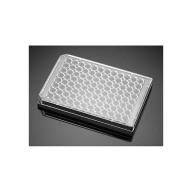 Corning BioCoat Poly-D-Lysine 96 Well Black/Clear Flat Bottom TC-Treated Microplate, 5/Pack, 50/Case