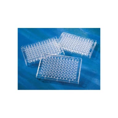 Costar 96 Well Clear Flat Bottom, Polystyrene, Tissue Culture-Treated Microplate with Low Evaporation Lid, Individually Wrapped, Sterile, 50/Case