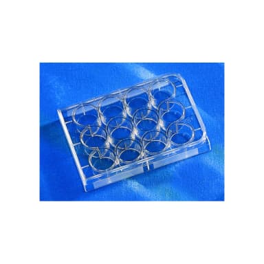Costar 12 Well Clear, Not Treated, Multiple Well Plates with Lid, Sterile, Bulk Packaged, 5/Bag, 100/Case