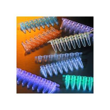 Thermowell GOLD 0.2µmL Polypropylene PCR Tubes, 8 Well Strips, Clear