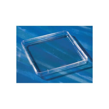 Corning 245mm Square BioAssay Dish without Handles, not Tissue Culture-Treated Culture, Bulk Packaged, 4/Bag, 16/Case