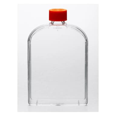 Corning 175cm Angled Neck Not Treated Cell Culture Flask with Vent Cap