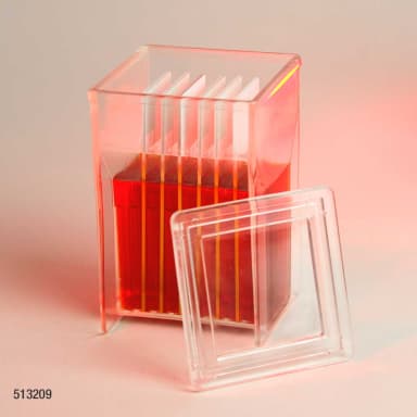Slide Staining Jar with Lid, PMP, for 8 slides (16 back-to-back), Hellendhal Type - CS/20