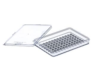 PS-MICROTESTPLATE,72 WELL 82,0/56 MM, NO