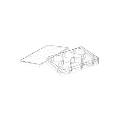 TC-PLATE, 6 WELL,STERILE WITH LID, 5 PCS