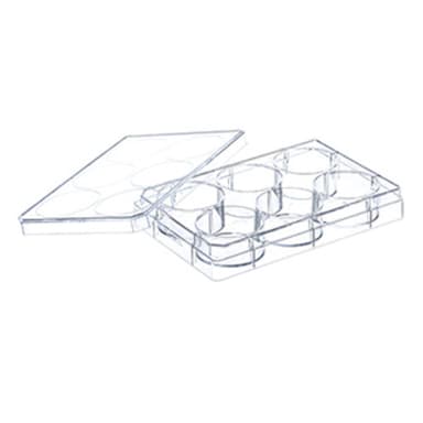 6 WELL PLATE ADVANCED TC STERILE, W. LID