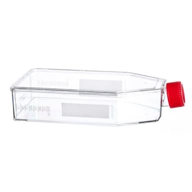 TC-FLASK, 650 ML, 175 CM² COLLAGEN I, CE