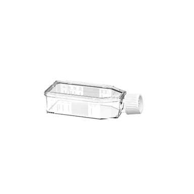 SUSPENSIONCULTURE FLASK 50 ML, 25 CM², W