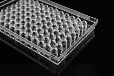 96 Well Cell Culture Plate, U-bottom, Non-Treated, sterile 1/pk, 100/cs