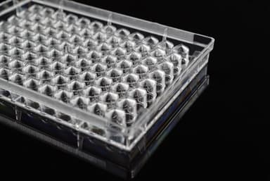96 Well Cell Culture Plate, V-bottom, Non-Treated, sterile 1/pk, 100/cs