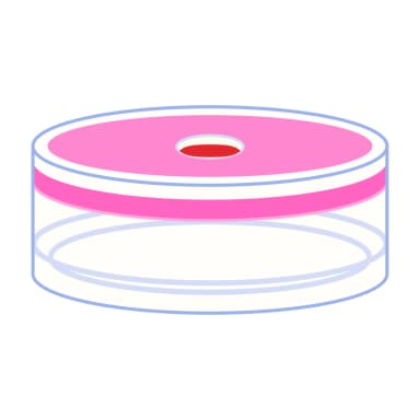 N20 PE Cap for crimp neck vials with flat DIN crimp neck N 20 transparent