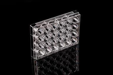 6 Well Cell Culture Plate, Flat, TC, sterile 1/pk, 50/cs
