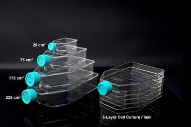 75cm2 Cell Culture Flask, Plug Seal Cap, Non-Treated, sterile 5/pk, 100/c