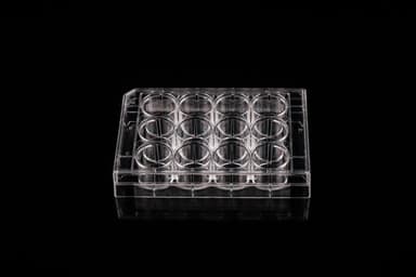12 Well Cell Culture Plate, Flat, Non-Treated, sterile 1/pk, 50/cs