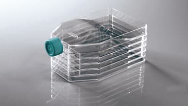 5-Layer Cell Culture Flask, Vent Cap,Straight Neck, TC, sterile 1/pk, 8