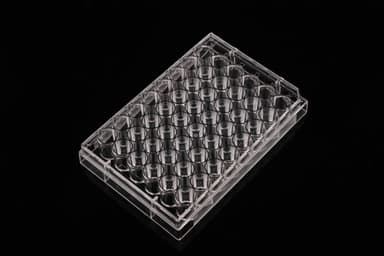 48 Well Cell Culture Plate, Flat, Non-Treated, sterile 1/pk, 50/cs