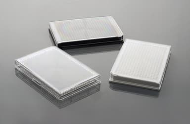 384 Well Cell Culture Plate, clear, flat bottom, TC, sterile 1/pack, 100/