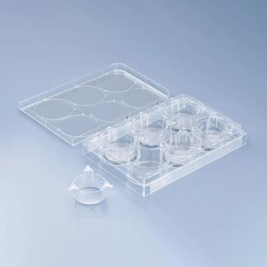cellQART 6-Well Cell Culture Insert Pre-loaded in Well Plate, PET, 1.0um, Clear, 4 Well Plates/pk