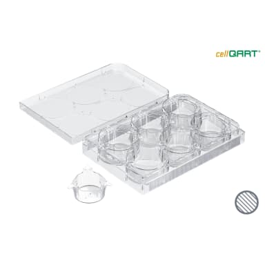 cellQART 12-Well Cell Culture Insert Pre-loaded in Well Plate, PET, 0.4um, Clear extended culture, 4 Well Plates/pk
