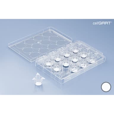 CellQART 12-Well Cell Culture Insert Pre-loaded in Well Plate, PET, 1.0um, Translucent, 4 Well Plates/pk