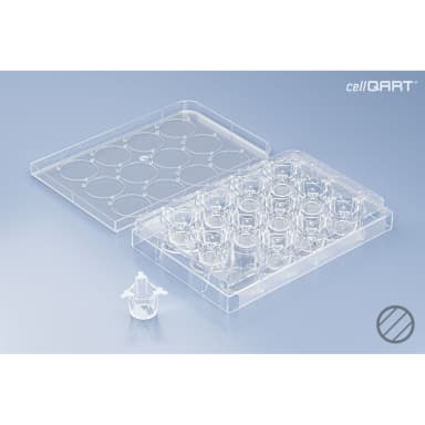 CellQART 12-Well Cell Culture Insert Pre-loaded in Well Plate, PET, 1.0um, Clear, 4 Well Plates/pk