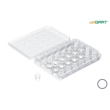 cellQART 24-Well Cell Culture Insert Half Pre-Loaded in Well Plate, PET, 0.4um, Translucent, 4 Well Plates/pk