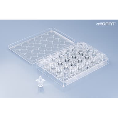 cellQART 24-Well Cell Culture Insert Pre-loaded in Well Plate, PET, 1.0um, Translucent, 4 Well Plates/pk
